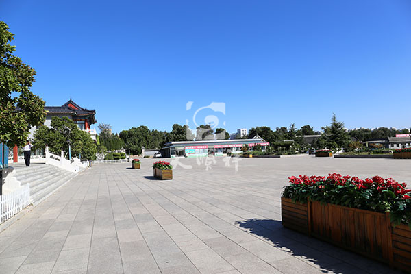 68206724754f3.jpg 2.jpg