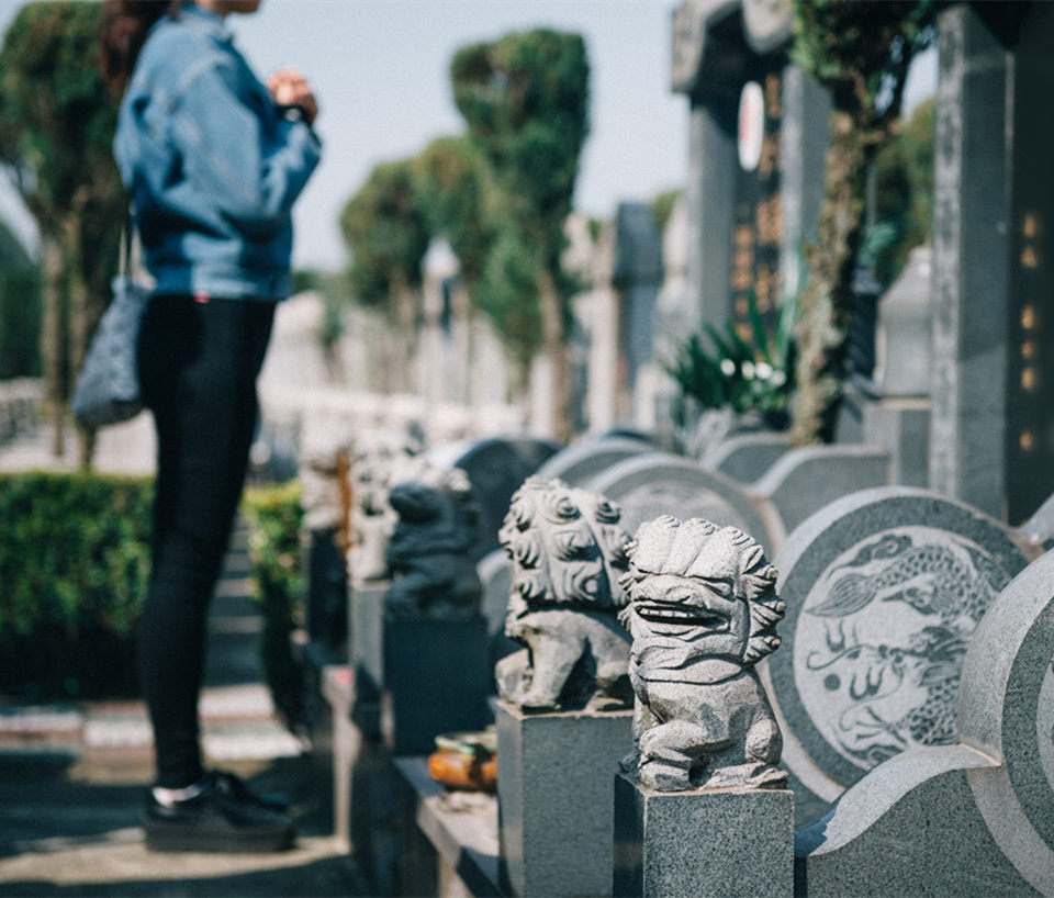 6820695a1b861.jpg recall18.jpg