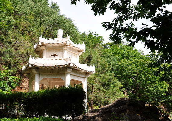 北京树葬多吗？该怎么选择呢？